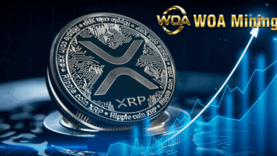 woamining-empowers-global-users-to-earn-consistent-daily-crypto-income