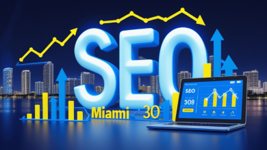 the-miami-seo-playbook-for-serious-business-owners