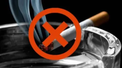 choosing-between-two-smoke‑free-habits:-what-really-fits-your-life