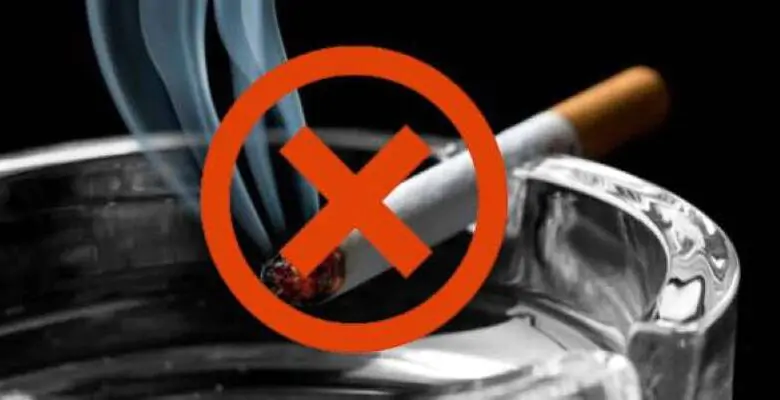 choosing-between-two-smoke‑free-habits:-what-really-fits-your-life